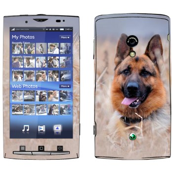   «  »   Sony Ericsson X10 Xperia