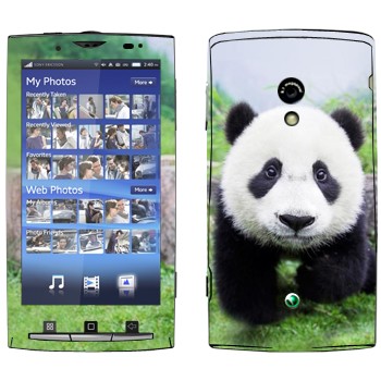 Sony Ericsson X10 Xperia