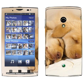 Sony Ericsson X10 Xperia