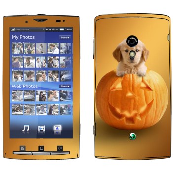   «  »   Sony Ericsson X10 Xperia