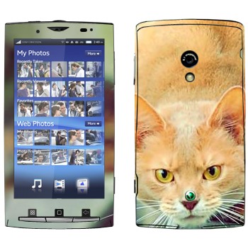   «  »   Sony Ericsson X10 Xperia