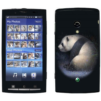   «»   Sony Ericsson X10 Xperia