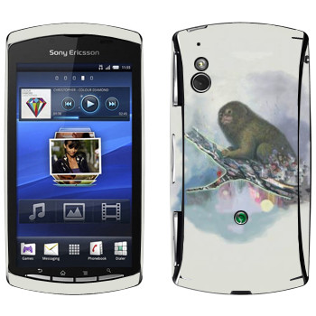   «   - Kisung»   Sony Ericsson Xperia Play