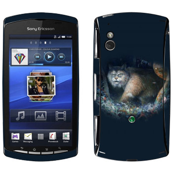   « - Kisung»   Sony Ericsson Xperia Play