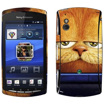   « 3D»   Sony Ericsson Xperia Play