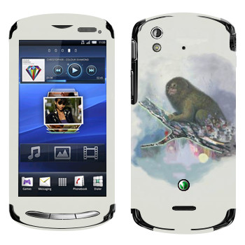  «   - Kisung»   Sony Ericsson Xperia Pro
