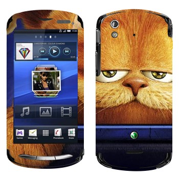   « 3D»   Sony Ericsson Xperia Pro