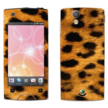 Sony Ericsson Xperia Ray