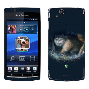   « - Kisung»   Sony Xperia Arc/Arc S