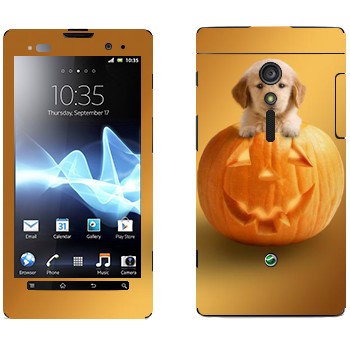   «  »   Sony Xperia Ion