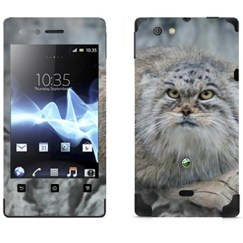   «»   Sony Xperia Miro