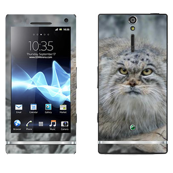 Sony Xperia S