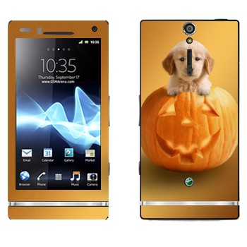   «  »   Sony Xperia S